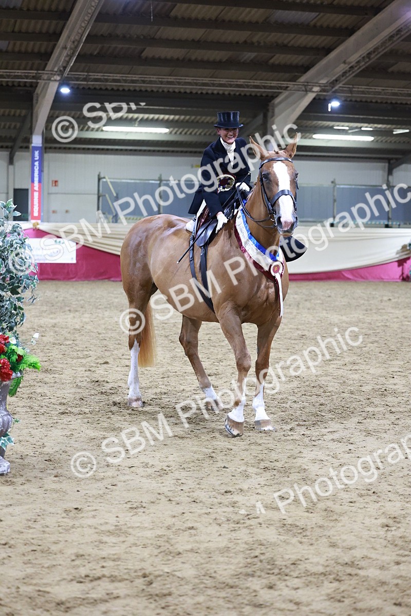 SBM_20968 - Class N - Side Saddle Champ