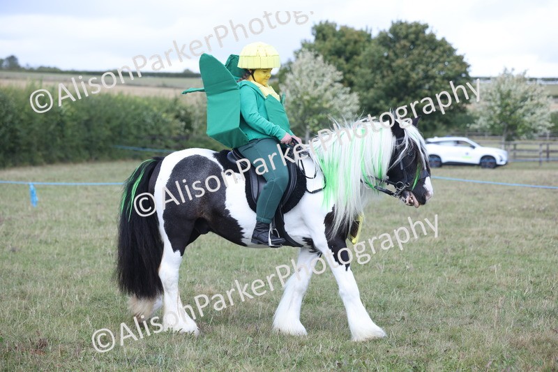 20250831-3548 - Class 26 - Fancy Dress
