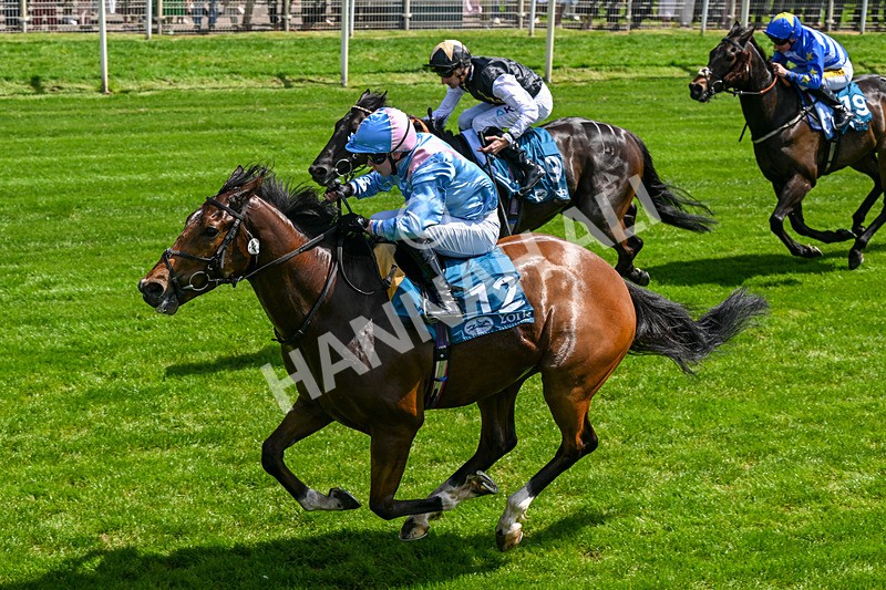 230526-Race 1-Lord Roxby-0304 - Race 1 13.30pm William Hill Keep Your Raceday Positive Handicap