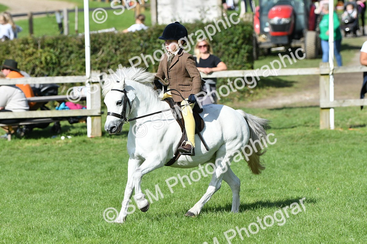 SBM_50310 - S21 - Novice & Newcomers 1st Ridden Pony