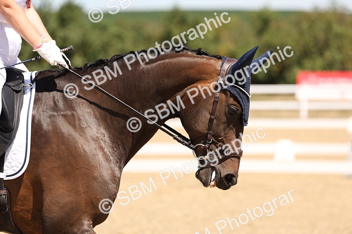 SBM_002093 - Elementary 4 Warm Up