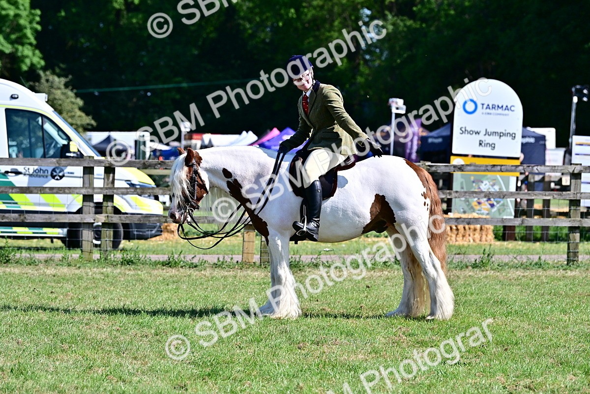 SBM_19449 - Class 101-102 - BSPS LIHS Performance Coloured Horse/Pony