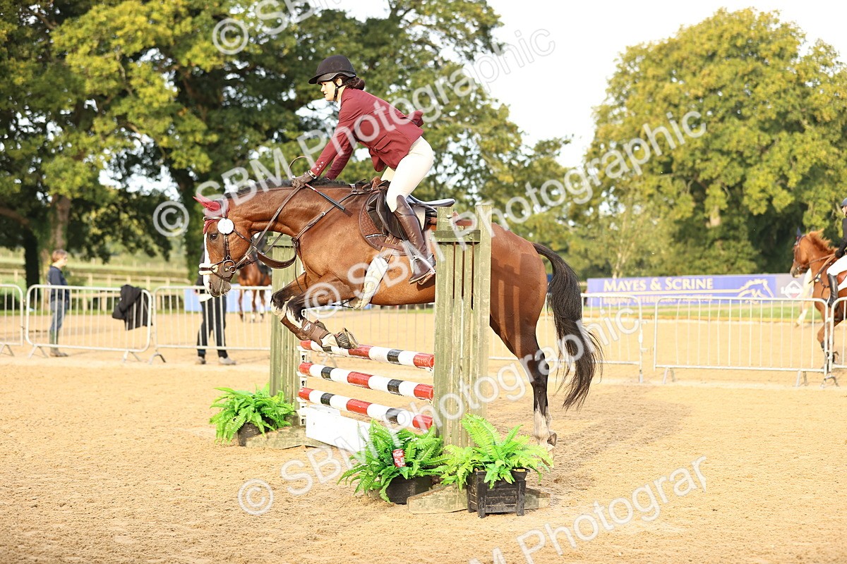 SBM_55080 - J62 - Clear Round 90cm