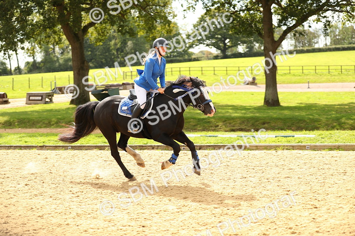 SBM_64184 - Supreme Championship - AM