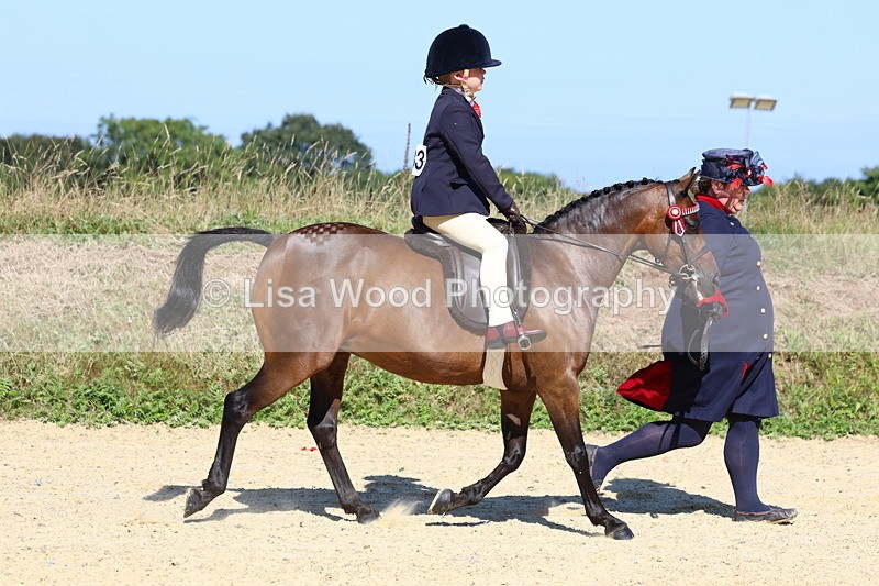 3E7A8024 - Class 15: Lead Rein