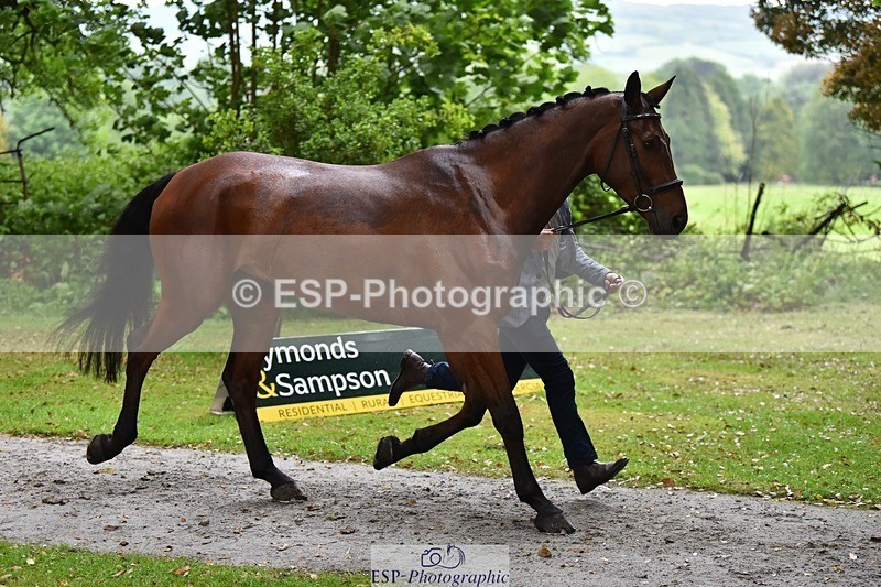 240522-162248-00877 - 275-SFS_ARRANO-Roberto_Scalisi