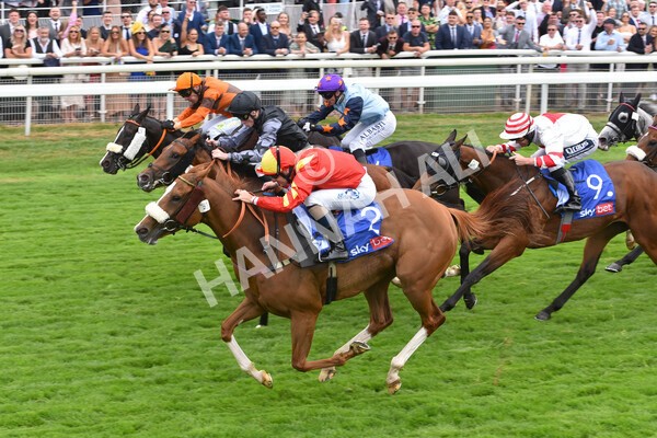 yr23072022r2-38 - Race 2 2.40pm Sky Bet Dash