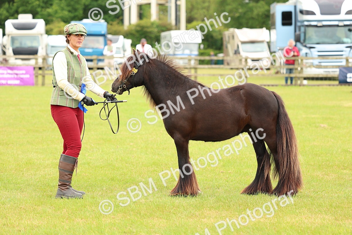 SBM_06309 - Class 39-41 TGCA In Hand and Ridden
