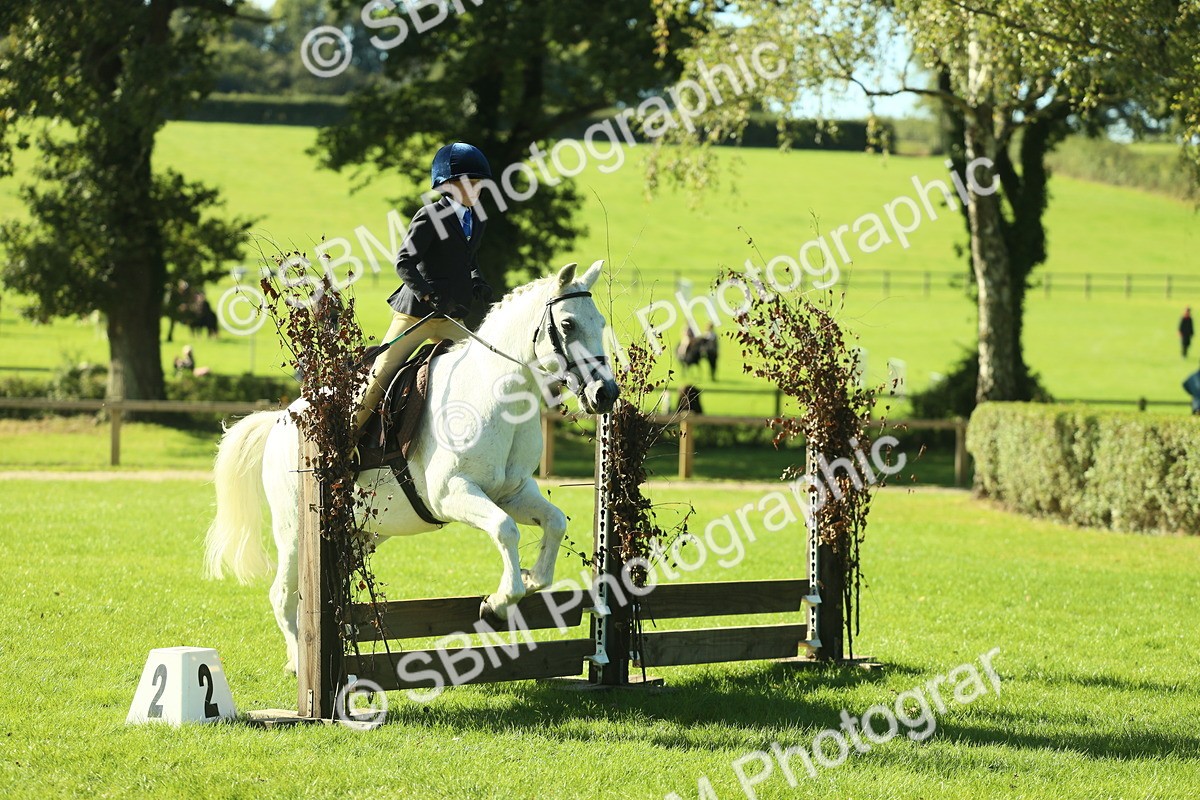 SBM_36480 - S29 - Novice & Newcomers Working Hunter Pony