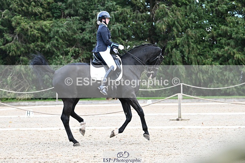 231110-144357-02020 - Cls 8 Medium 75Q