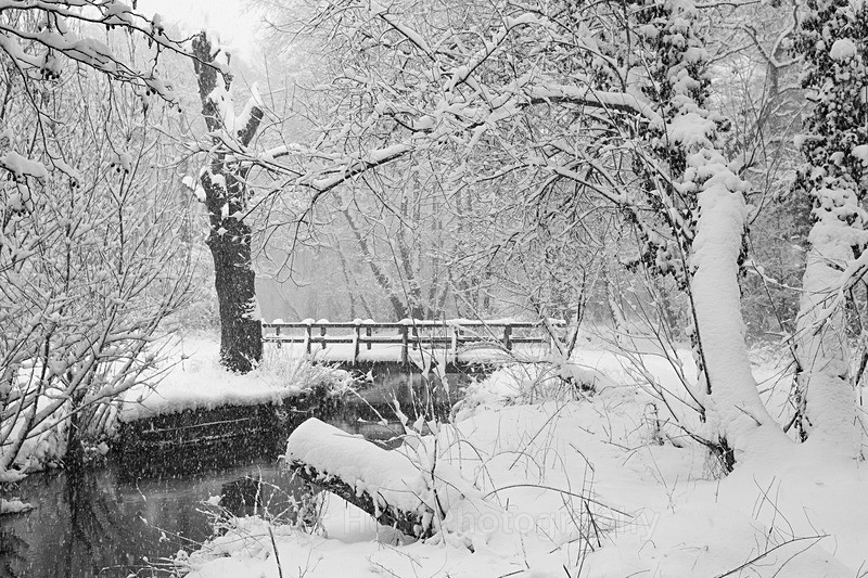 Winter Bridge_IMG_3656_BW - Black & White