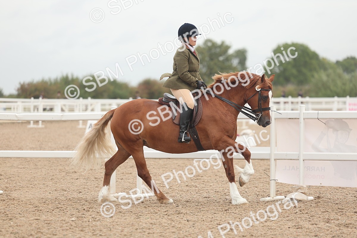 SBM_01884 - Class 14 - Ridden M&M Wildcard