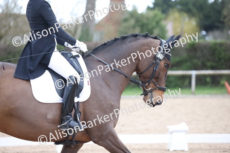 20260301-1084 - Class 11 - Advanced 1