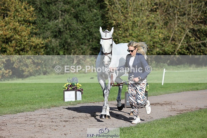 241027-102931-15920 - 593-Abbie.Burbidge-BLUEBIRD