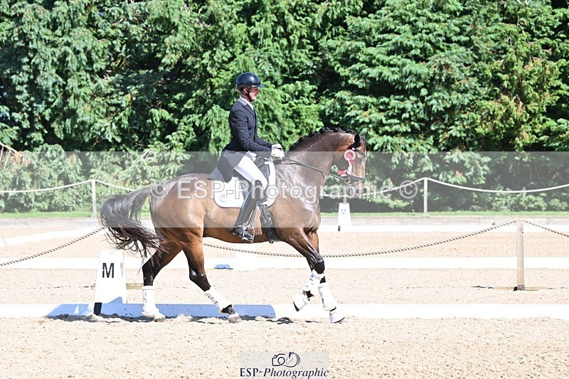 240811-154025-06753 - Inter I Gold