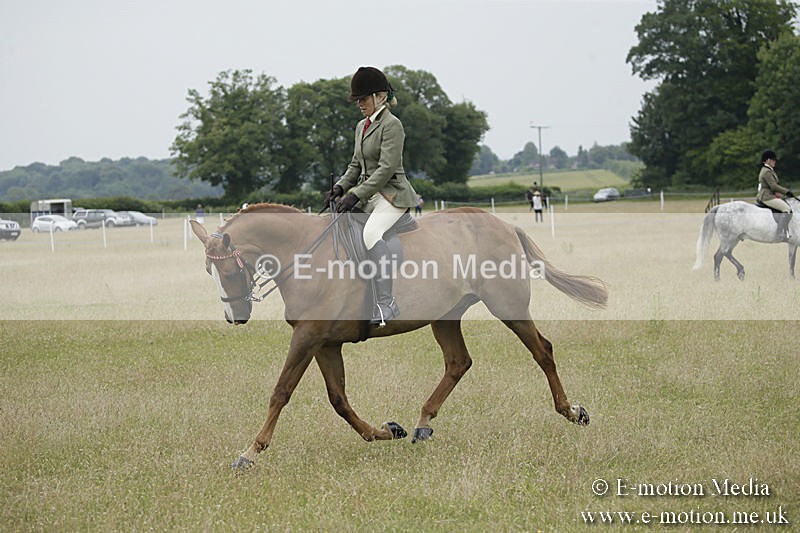 B230619-0937 - Bourne Valley Riding Club Summer Show 23/06/19