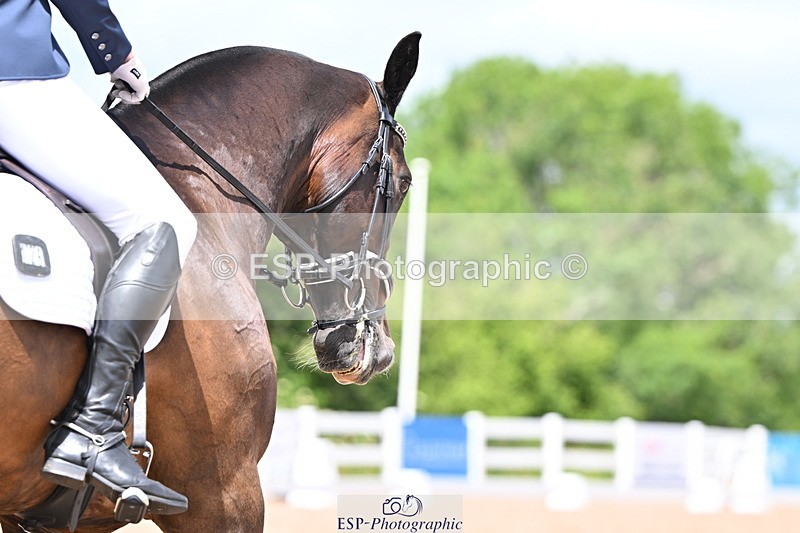 240622A-125644-10306 - Cls 30 BD Elementary 53