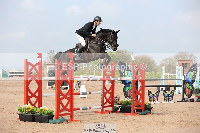 250424-103147-03069 - Cls 33 Young Horse 7yr old