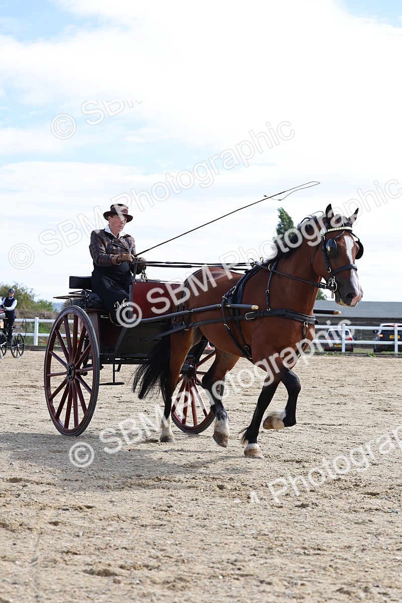 SBM_000912 - Class 8 - Novice Horse or Pony to any vehicle
