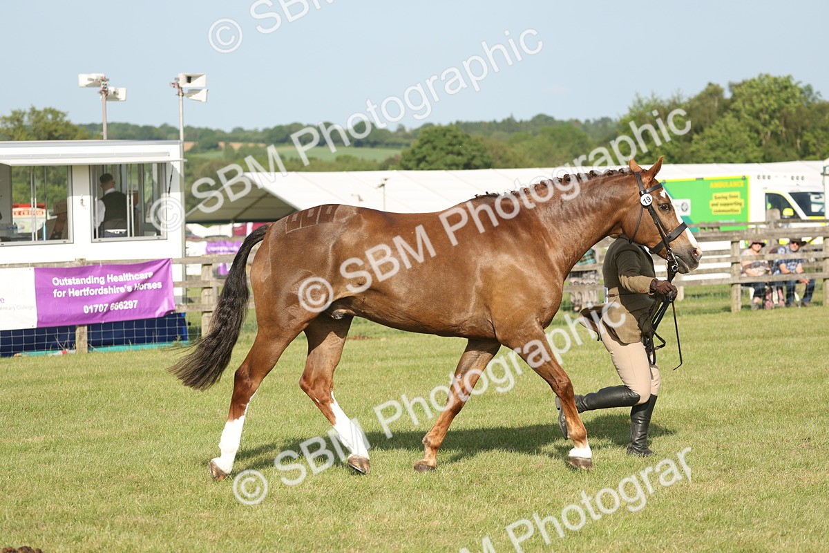 SBM_10484 - Class 33-38 - SSADL RIHS Qualifiers
