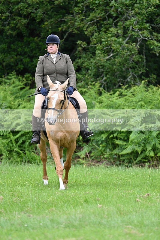 WJ7_2061 - Class 12A Coloured Class
