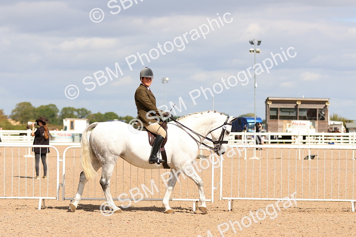 SBM_13167 - Class 211 - Ridden Hunter - Small
