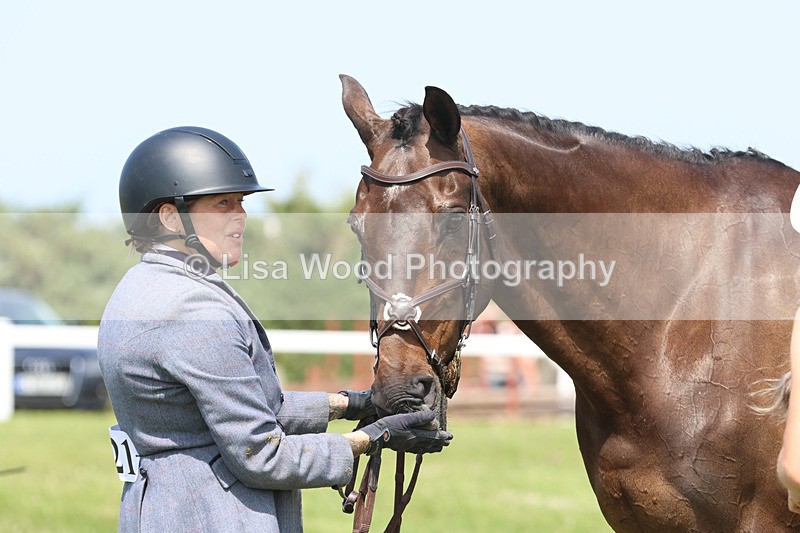 JPP_3382 - Class 22: Working Hunter 70cm