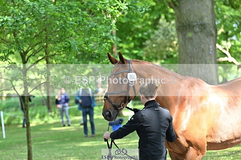 250521A-154412-00725 - B-360-Lucy.K.Wheeler-KING.CREOLE.VD.N.RANCH