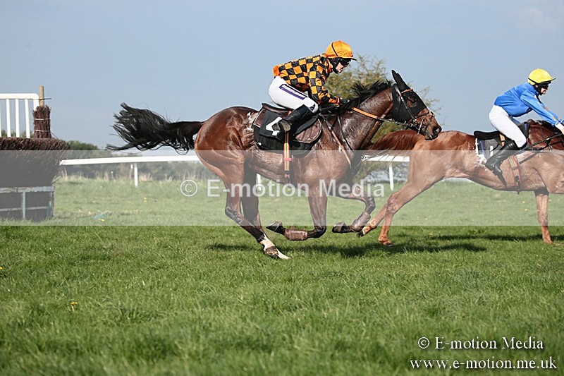 PtP 210418 541 - South & West Wilts Point-to-Point Larkhill 21/04/18