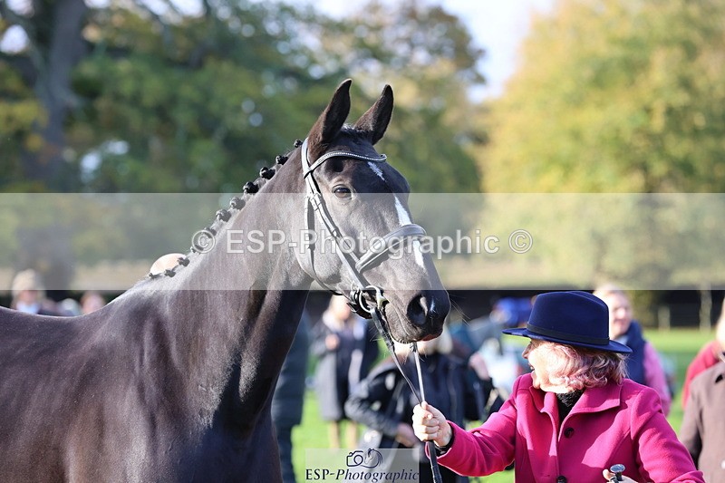 251026A-095323-22555 - D-315-Georgina.Marks