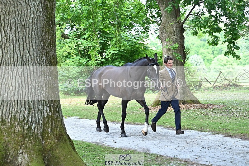 250521A-153122-00563 - B-365-Tom.McEwen-MAESTRO