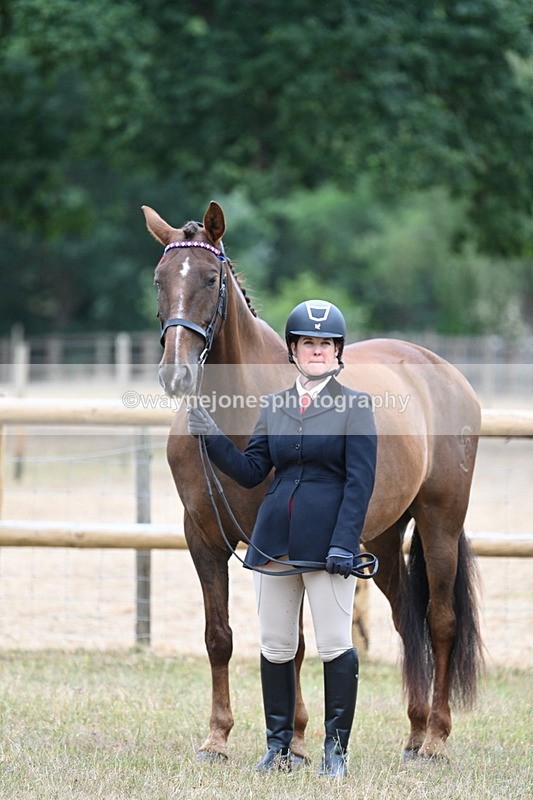 WJ7_9832 - Class 5a Most Handsome Gelding (above 14.2hh)