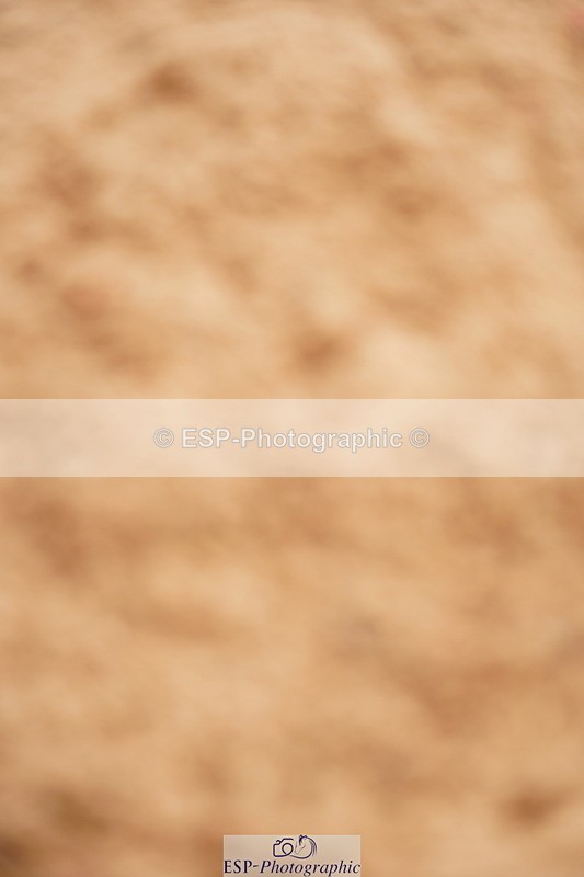 240526A-115304-07919 - Cls 26 Chard Equ 1.05m and 1.10m Grand Prix