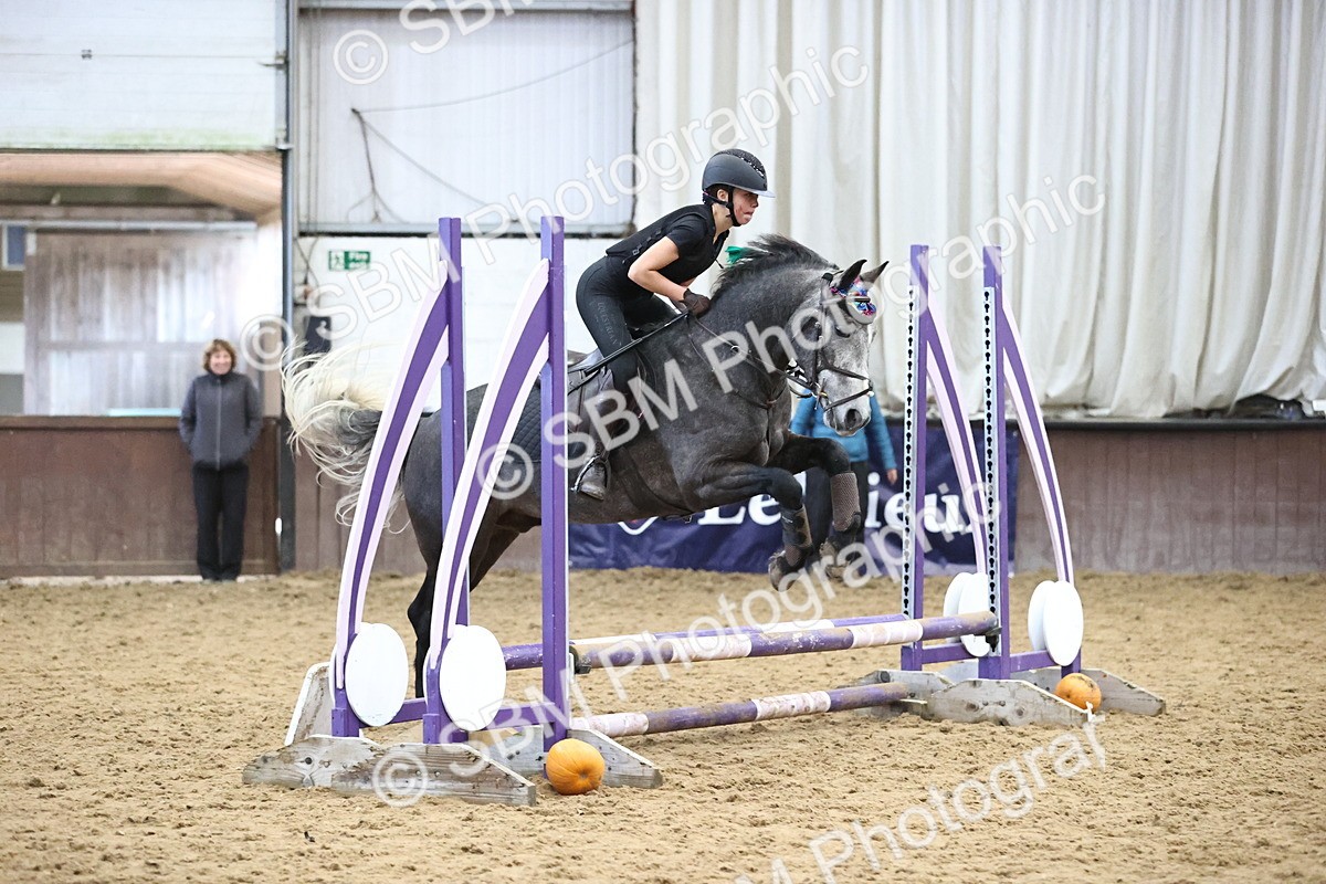 SBM_001343 - Class 3 - Horse & Hound 60cm