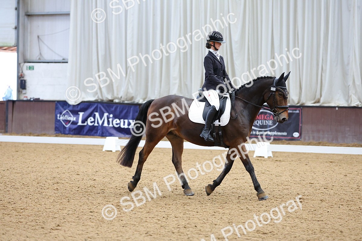 SBM_002690 - Novice