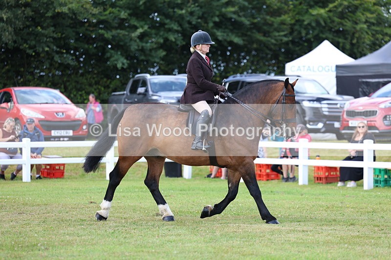 3E7A9674 - Class 5: Rising Star Lightweight/Heavyweight Cobs