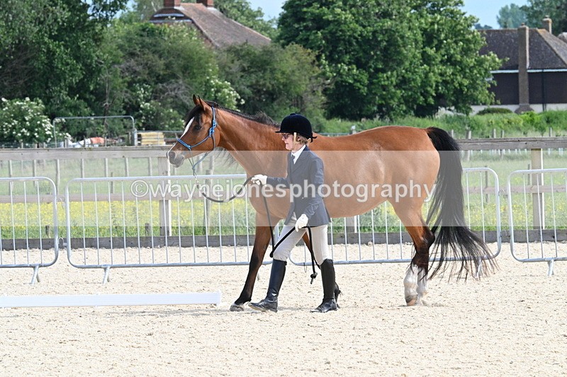 WJ7_8231 - Time 16:10 to 16:25