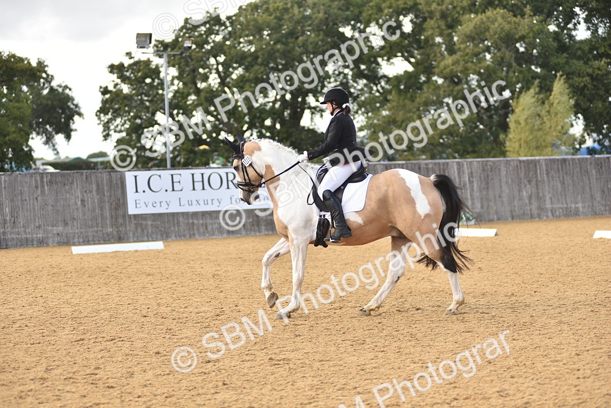 SBM_24351 - D4 - Small Tour Championship Intro 4