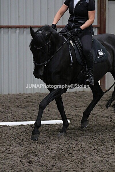 SIAL3942 - CAbin Dressage 5th july 2025
