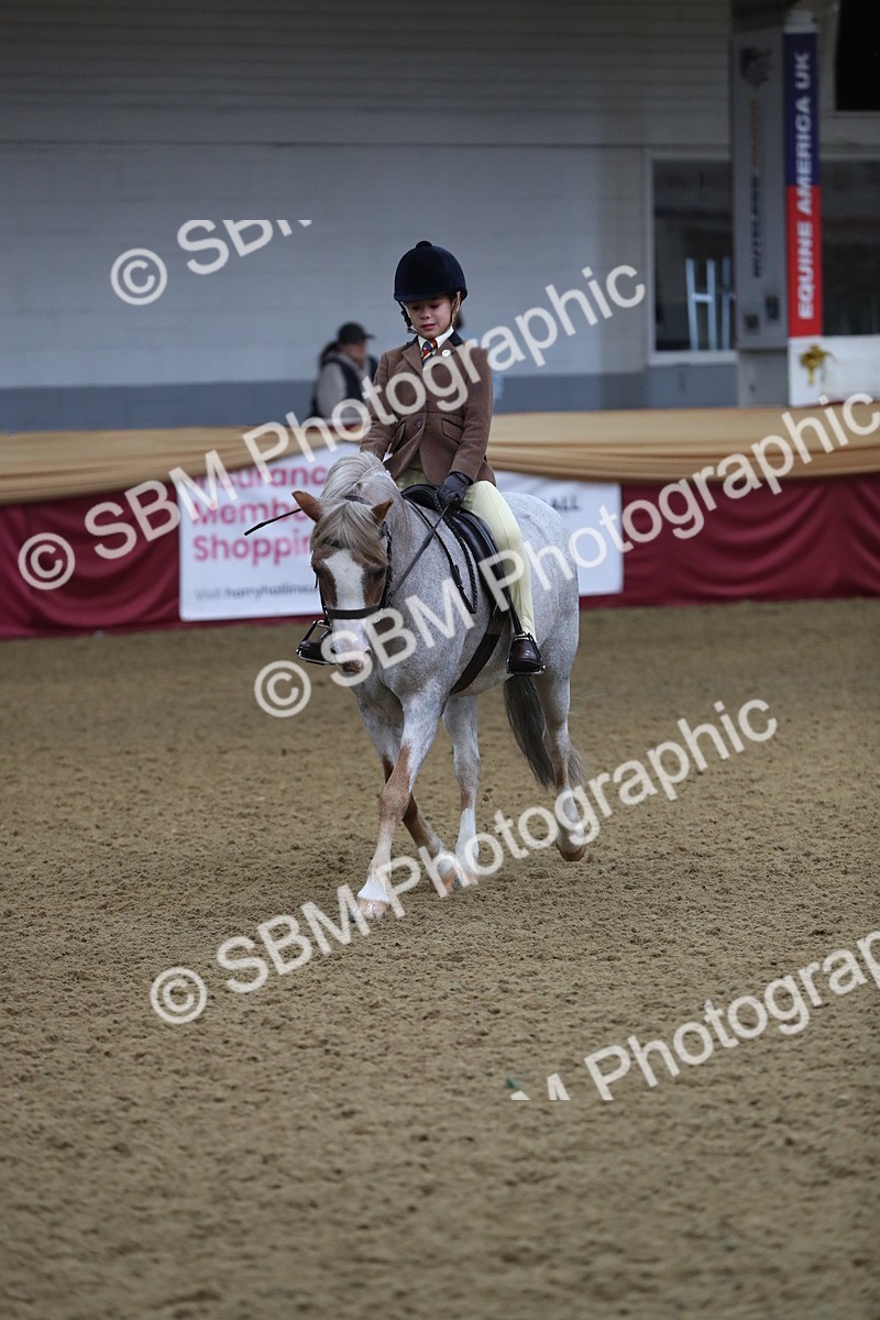 SBM_09346 - Class 101 Equitation (best rider), Junior
