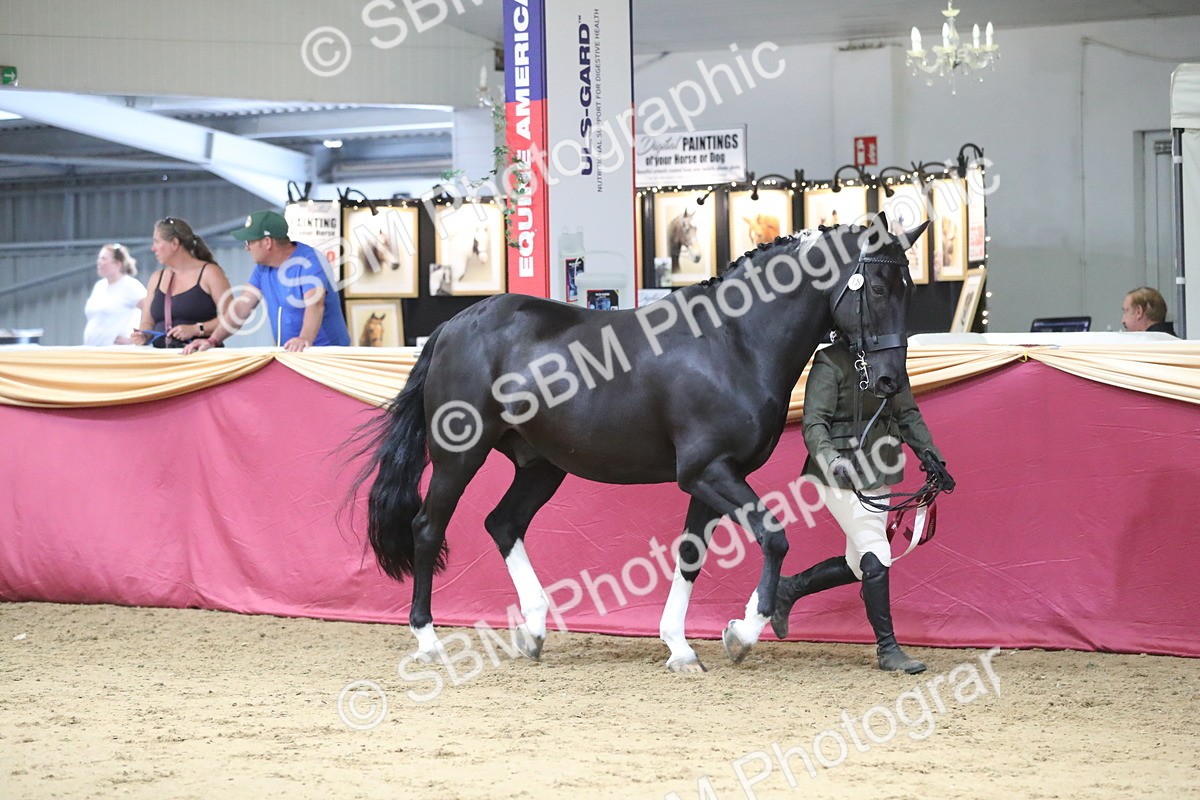 SBM_06492 - Class 9R Regional- IH Pre Vet