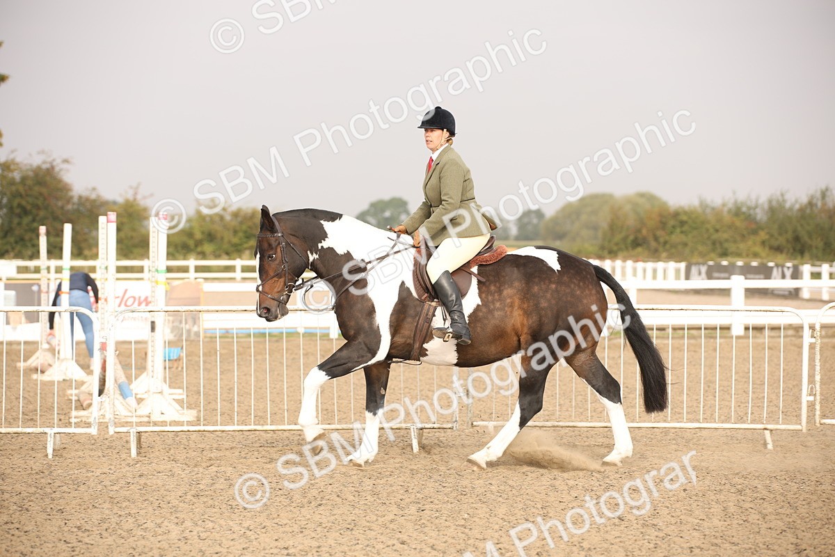SBM_10224 - Class 402 Riding Club Horse