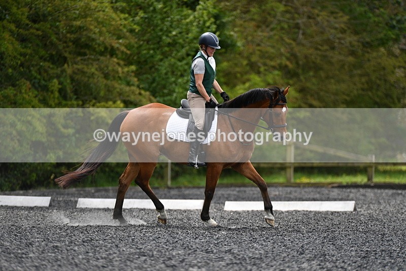 WJ5_0189 - Time 11:47 to 12:21