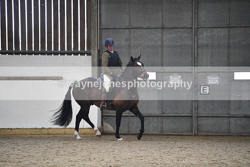 WJ5_7965 - Class 13 Ridden Part Breed