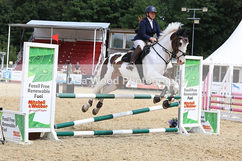3E7A4980 - Class 4: Senior British Novice/90cm open
