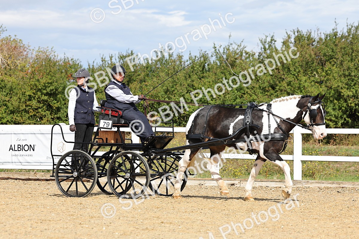 SBM_000905 - Class 8 - Novice Horse or Pony to any vehicle