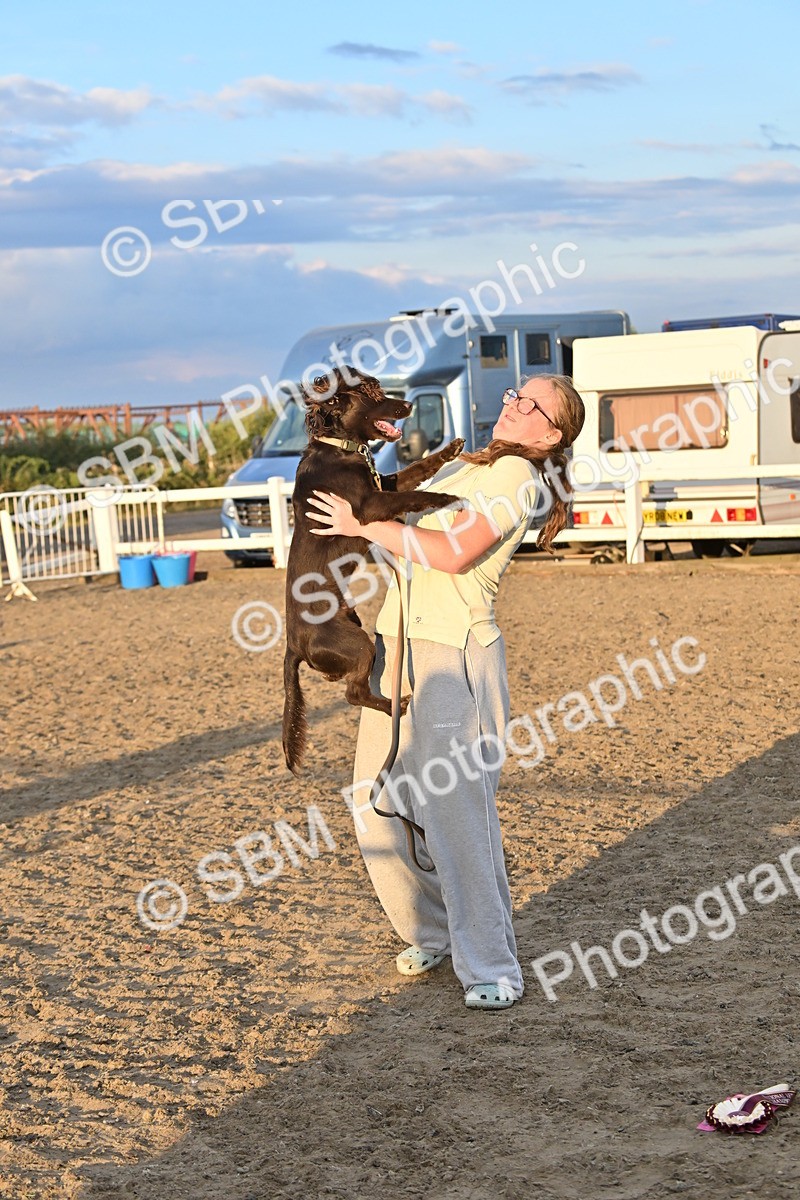SBM_09713 - Lorry Dogs