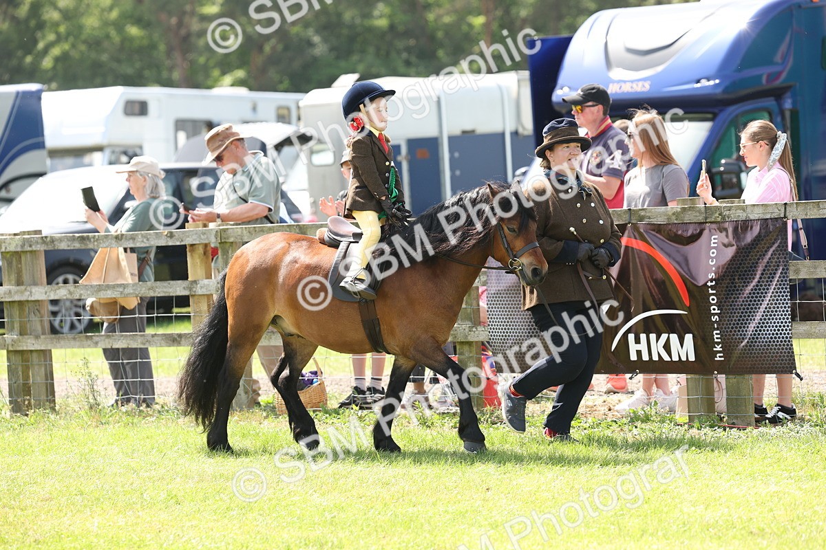 SBM_05306 - Class 24-25 - Mountain & Moorland In Hand Lead Rein and First Ridden
