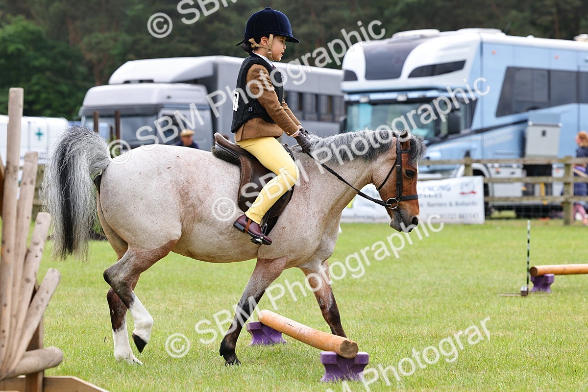 SBM_08597 - Class 42-43 - LIHS BSPS Heritage Working Sports Pony