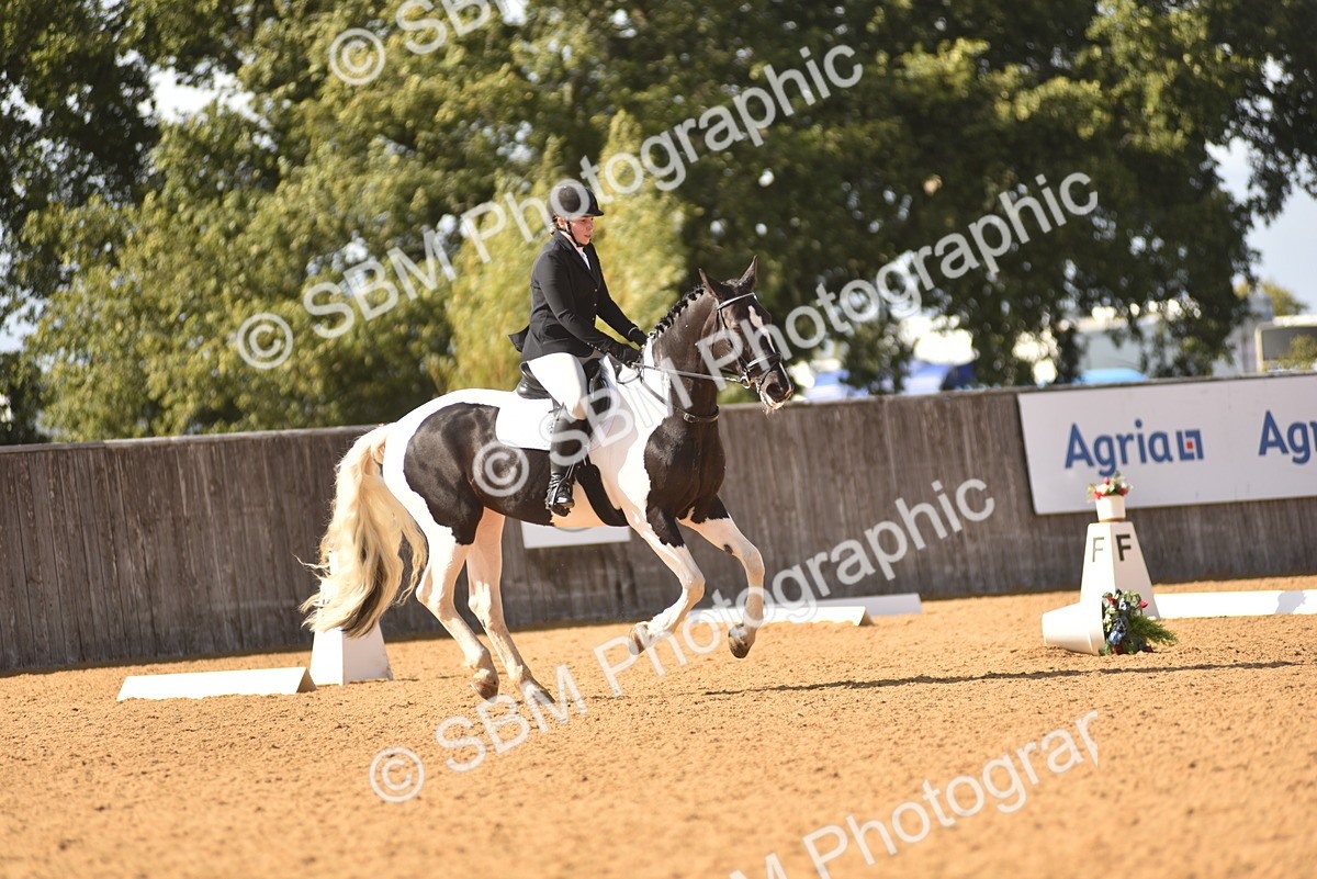 SBM_24318 - D4 - Small Tour Championship Intro 4